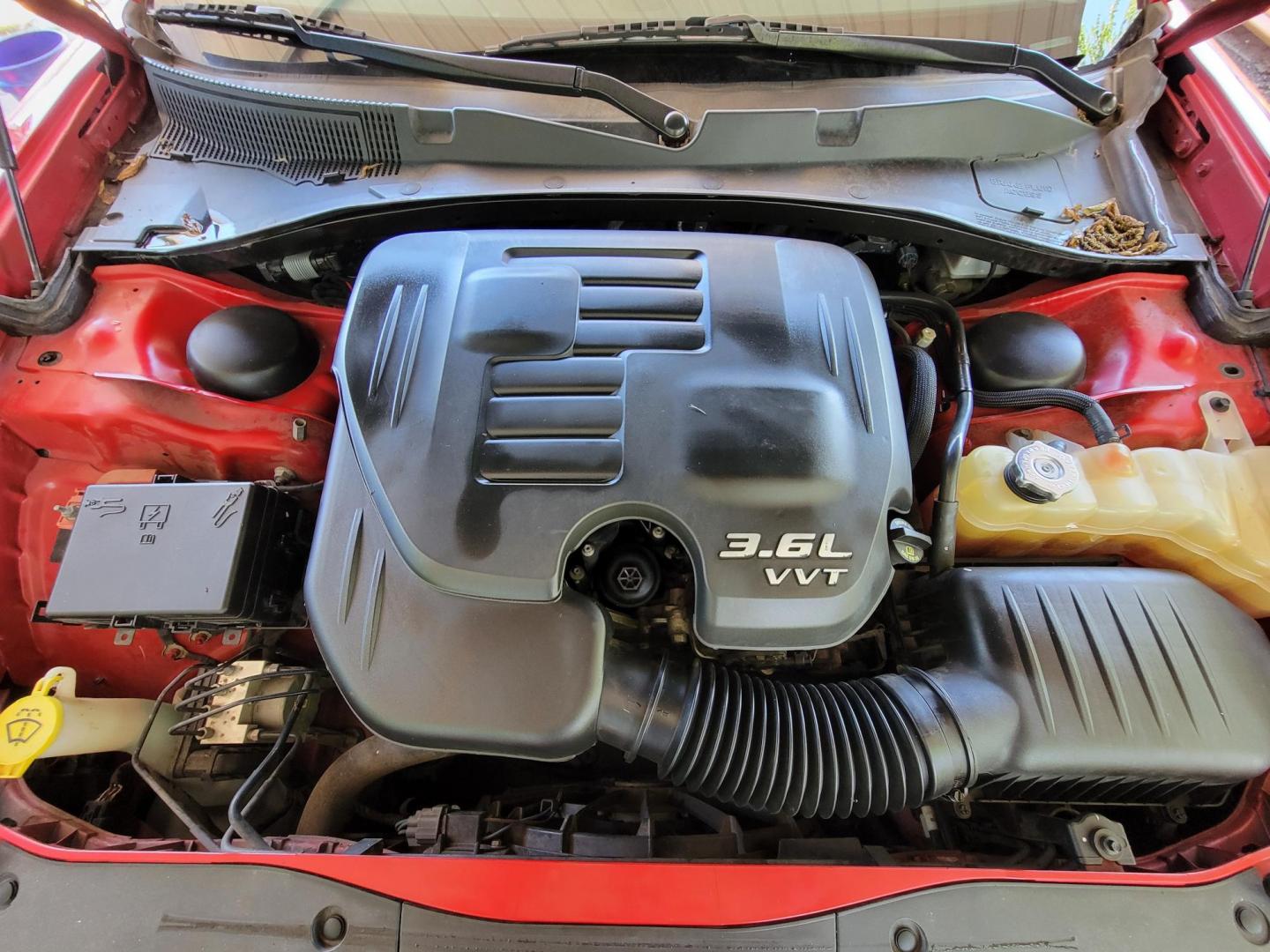 2016 Red /Black Dodge Charger SE (2C3CDXBG7GH) with an 3.6L V6 DOHC 24V engine, 8A transmission, located at 2020 East Division Street, Arlington, TX, 76011, (817) 801-3191, 32.742390, -97.076874 - Texass premiere Buy Here Pay Here with No Credit Check {score} at 2020 East Division Street Arlington, Texas in the center of Dallas, Fort Worth metro area. For in house auto financing in Lancaster, Waxahachie, Cleburne or Sherman call 817-801-3191. Denton, McKinney, Waco and Weatherford shoppers wa - Photo#25