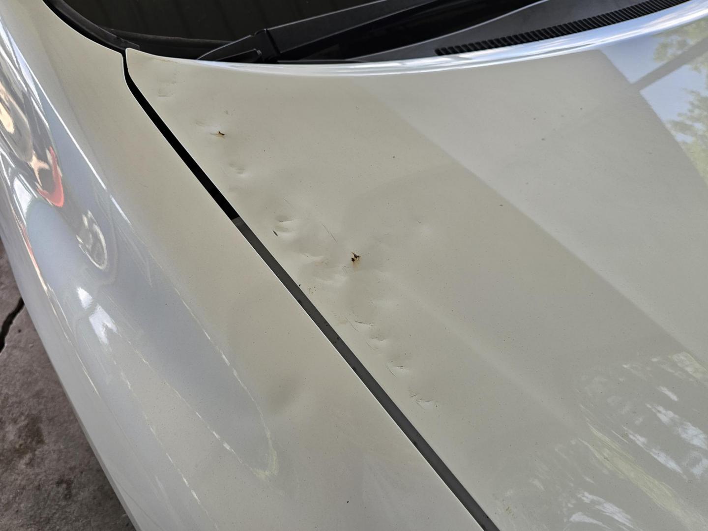 2015 White /Beige Honda Civic EX-L Sedan CVT (19XFB2F99FE) with an 1.8L L4 SOHC 16V engine, Continuously Variable Transmission transmission, located at 2020 East Division Street, Arlington, TX, 76011, (817) 801-3191, 32.742390, -97.076874 - Texass premiere Buy Here Pay Here with No Credit Check {score} at 2020 East Division Street Arlington, Texas in the center of Dallas, Fort Worth metro area. For in house auto financing in Lancaster, Waxahachie, Cleburne or Sherman call 817-801-3191. Denton, McKinney, Waco and Weatherford shoppers wa - Photo#30